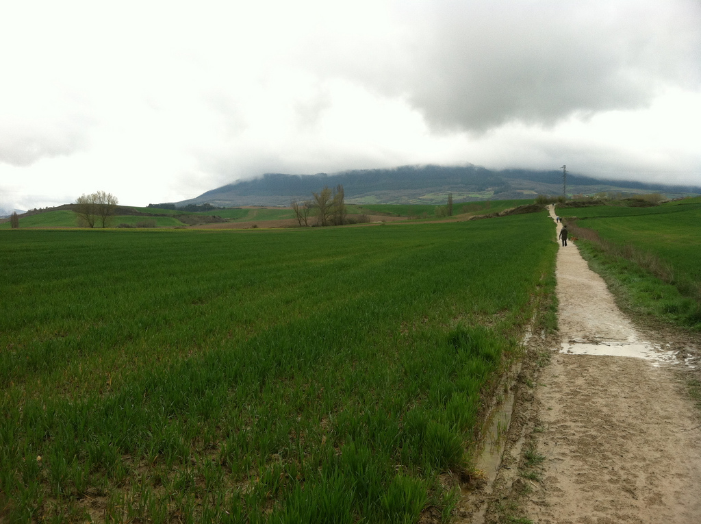 The Countryside West of Pamplona