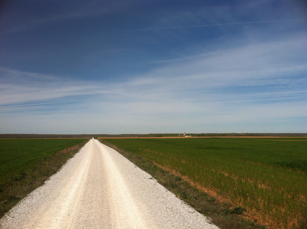 The Meseta